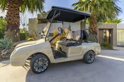 Bachi's Palm Springs Paradise